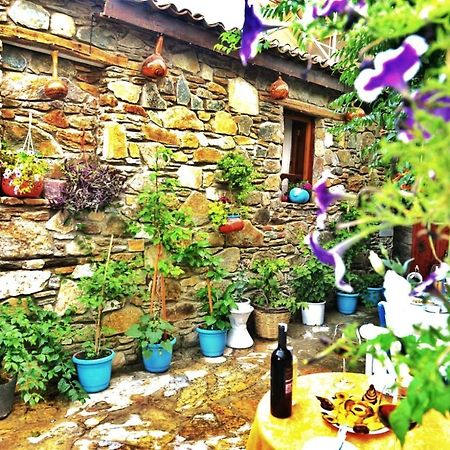 Sirincem Pension Сельчук Экстерьер фото
